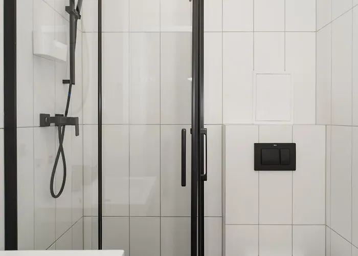 Apartament Totu Black&white Centrum *